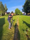 Výsadba v obci 2025