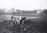 FOTO - historické snímky z obce